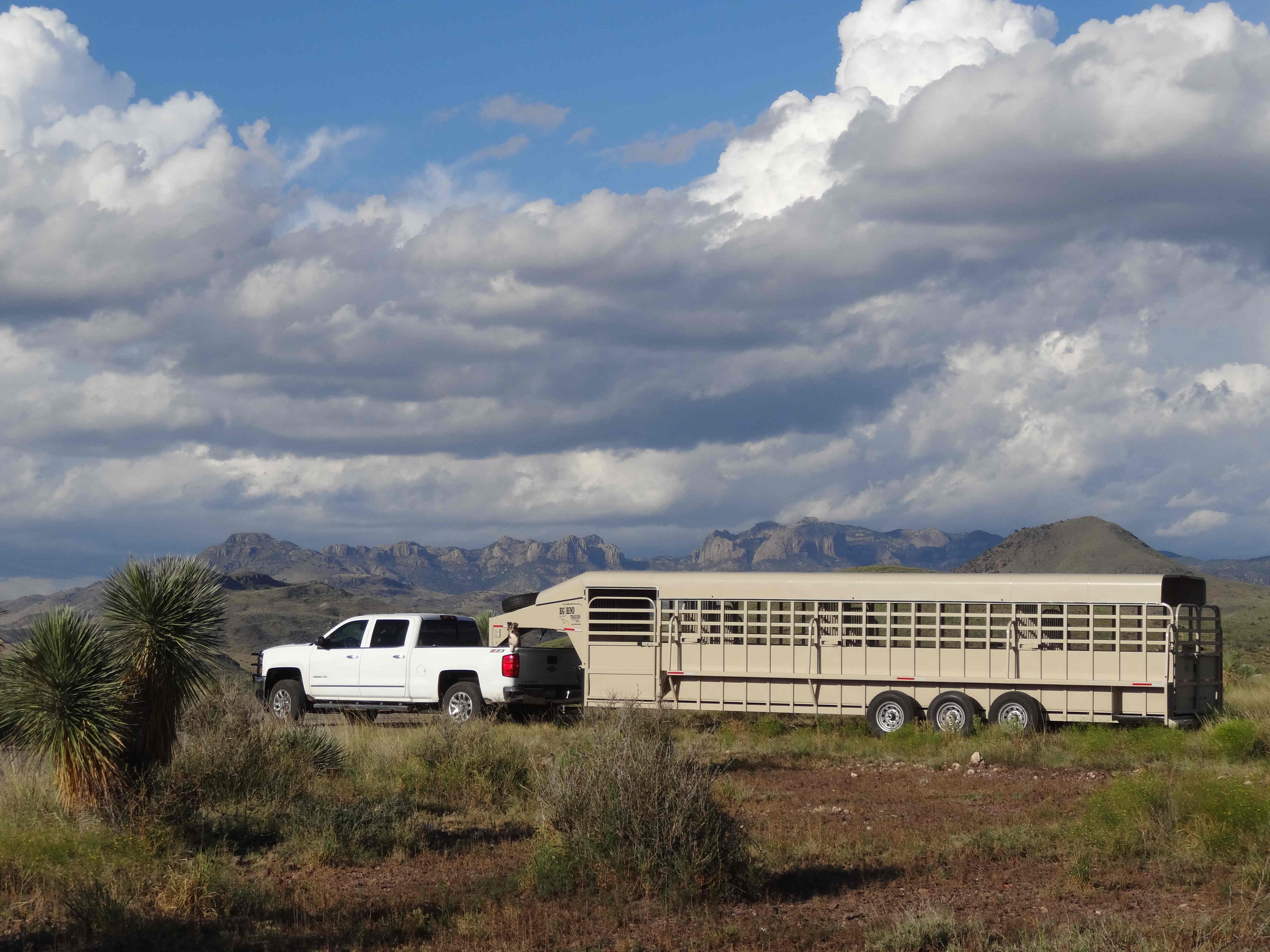 Big Bend