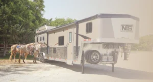 Read more about the article Which Bison Trailer is Right for You?