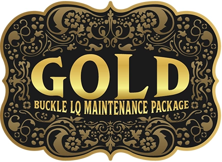 Gold Maintenance Buckle