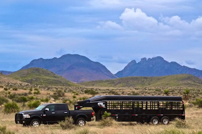 Big Bend