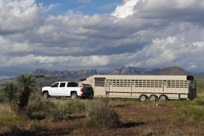 Big Bend